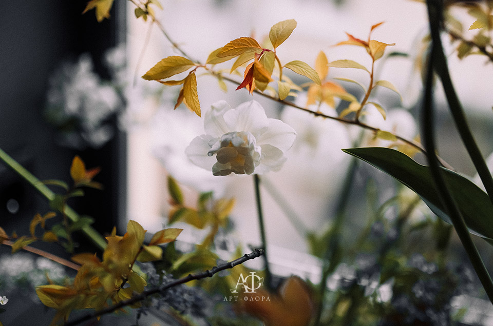 svadebnyj-proekt-nashi-cvety ‎15